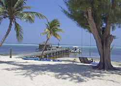 This idyllic view is from our favorite dive resort on Lit... by Jim Chambers 